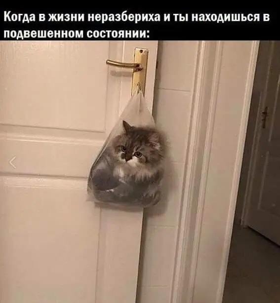FB_IMG_1707568651050.webp