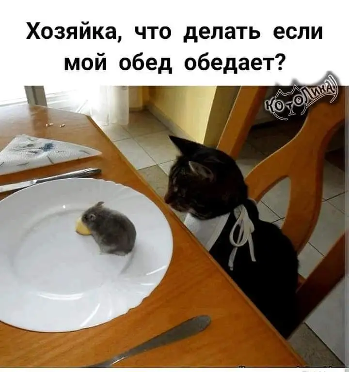 FB_IMG_1707580027024.webp