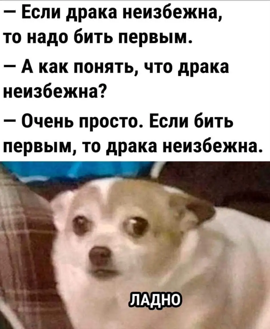 FB_IMG_1707659434126.webp