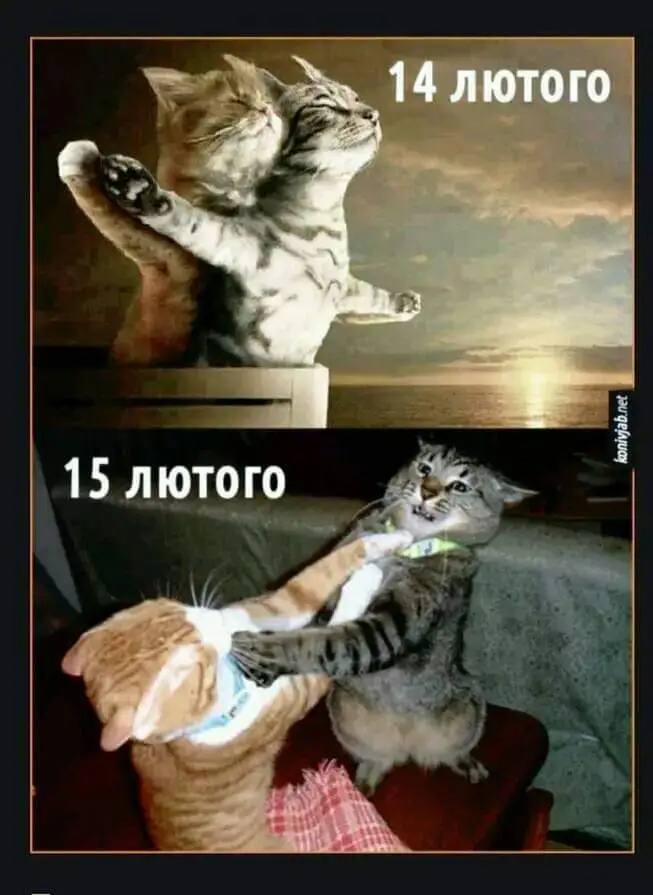 FB_IMG_1707932748195.webp