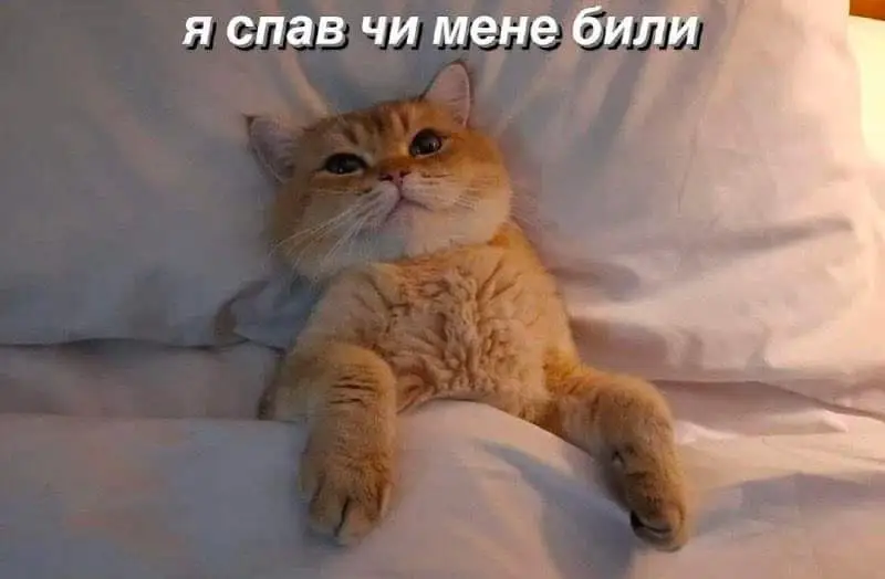 FB_IMG_1708010833870.webp