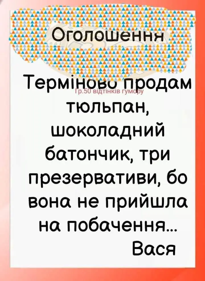 FB_IMG_1708016835827.webp