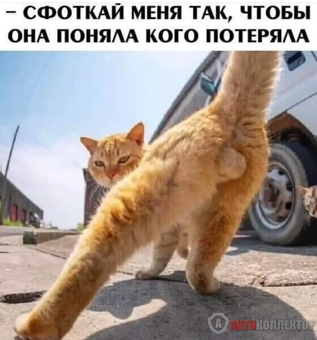 FB_IMG_1708258264466.webp
