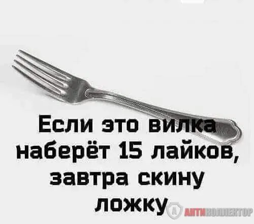 FB_IMG_1708352441311.webp