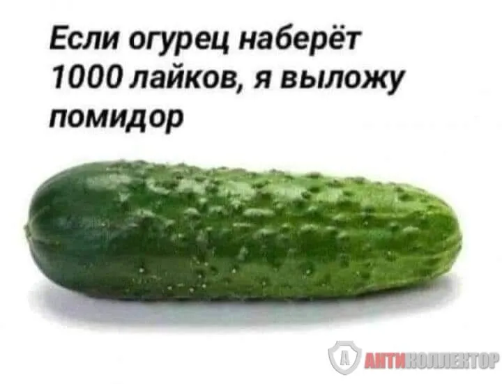 FB_IMG_1708466997514.webp