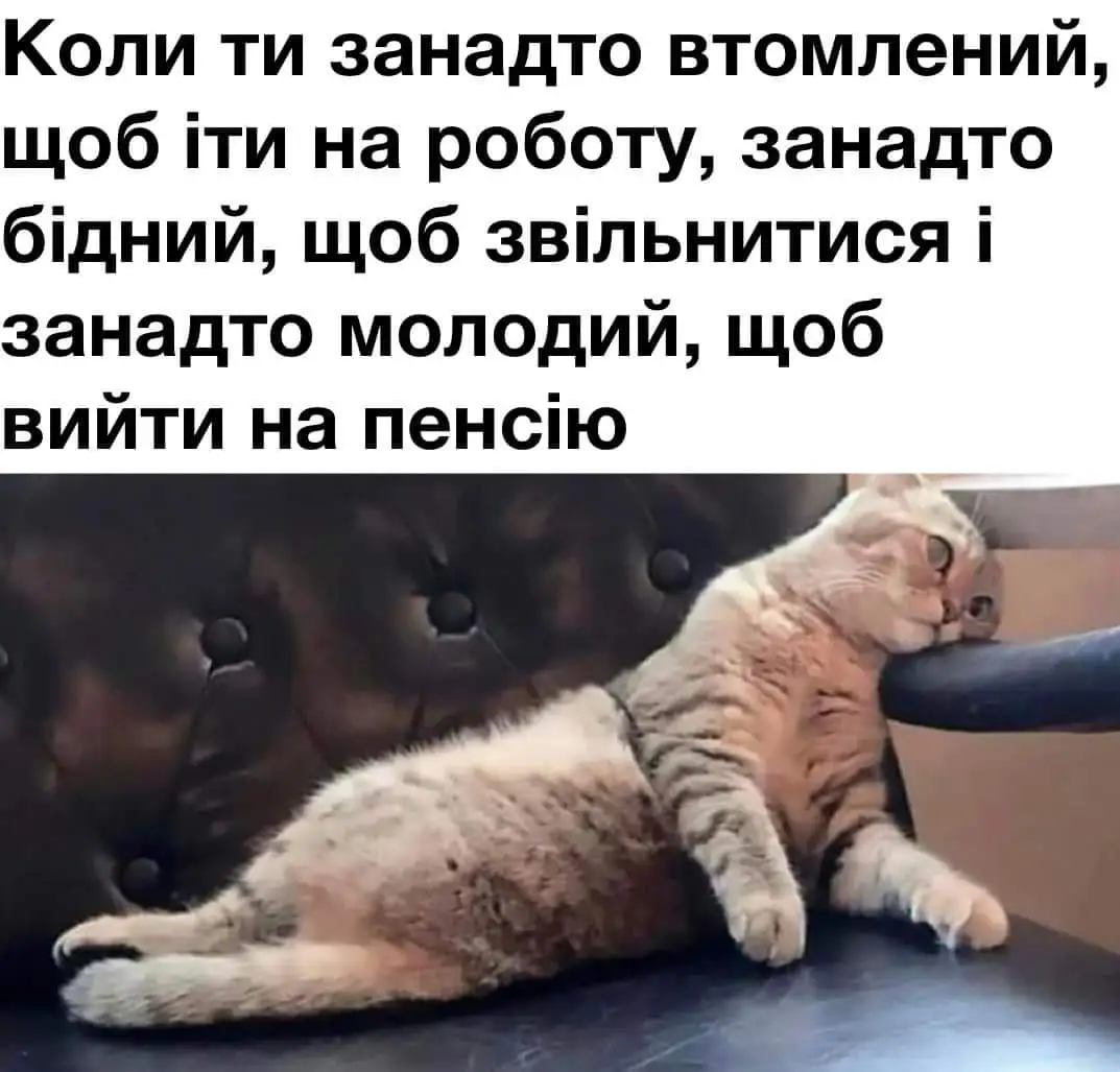 FB_IMG_1708625462373.webp