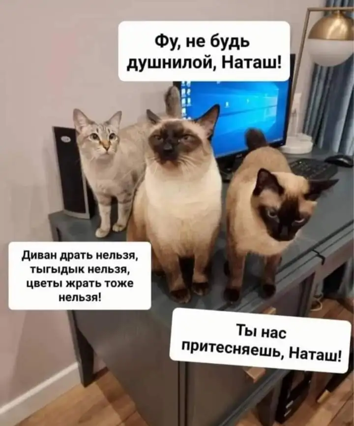 FB_IMG_1708810483951.webp