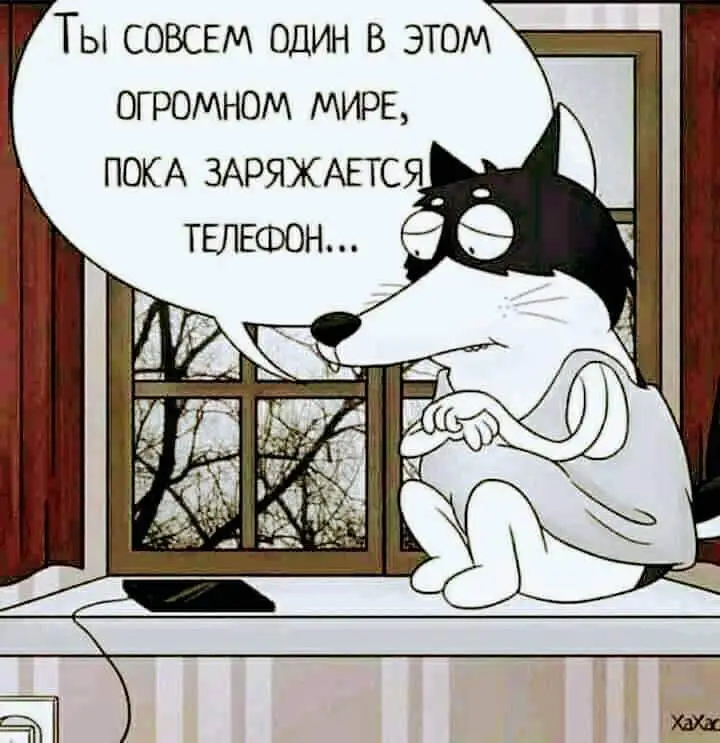 FB_IMG_1708852184900.webp
