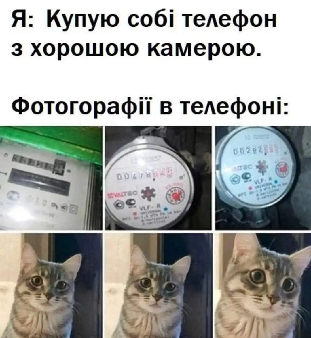 FB_IMG_1708905767502.webp