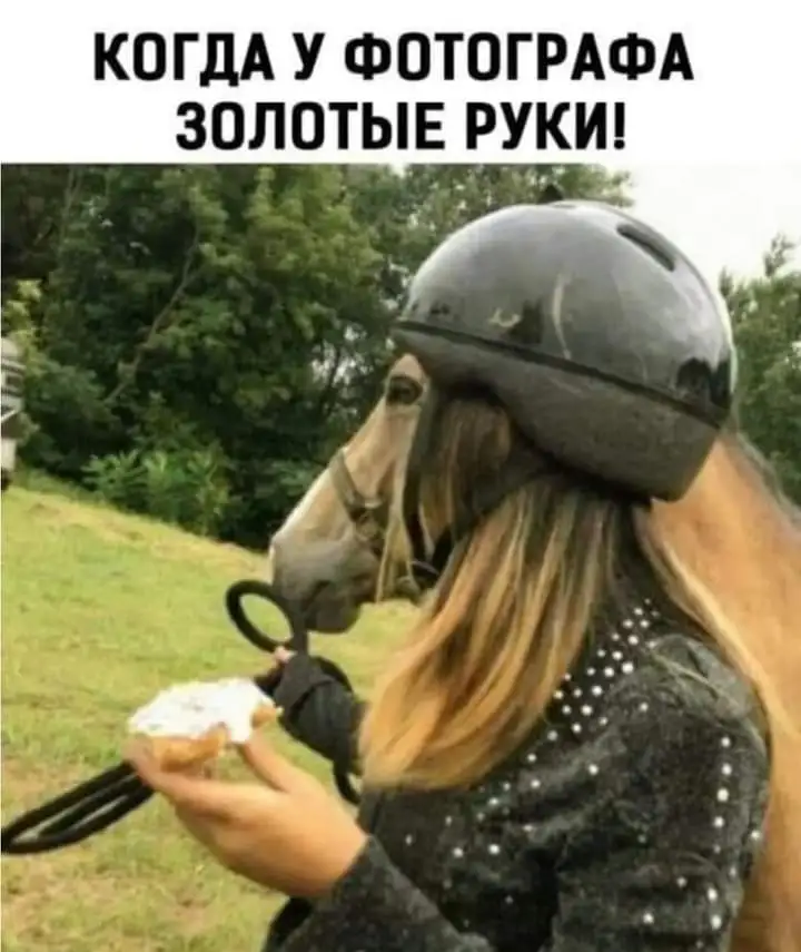 FB_IMG_1708963005659.webp