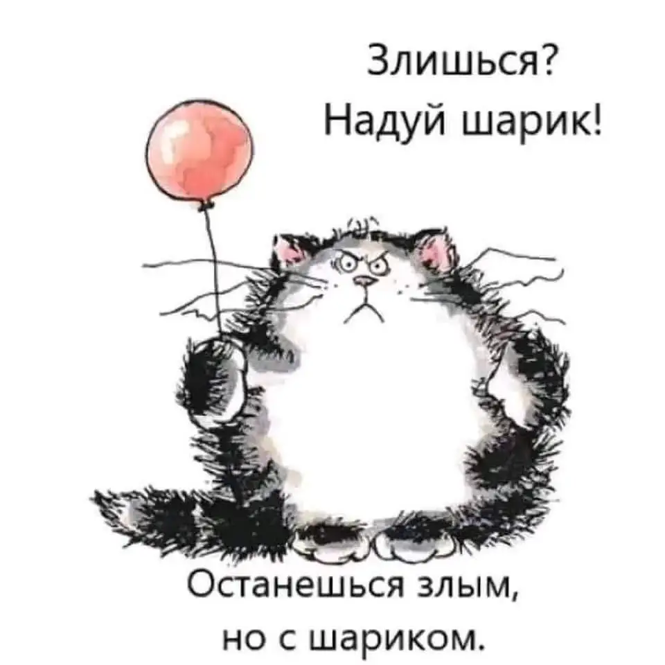 FB_IMG_1709251750139.webp