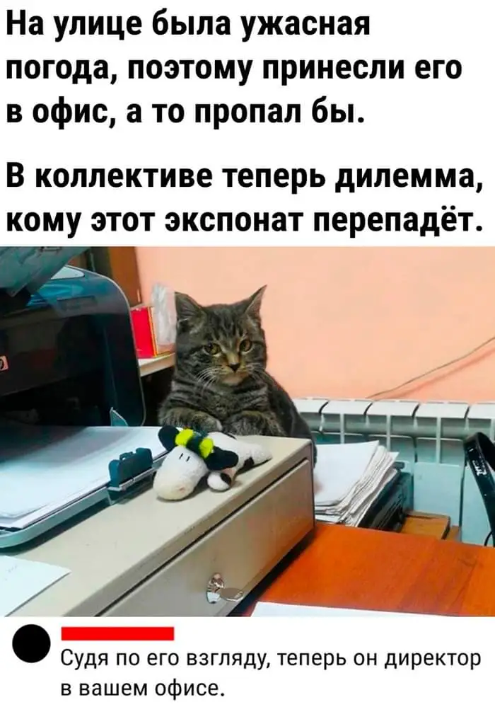 FB_IMG_1709251885644.webp