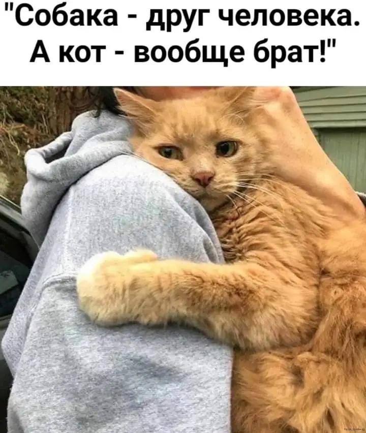 FB_IMG_1709292882209.webp