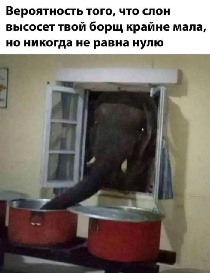 FB_IMG_1709643031508-world69.spcs.bio.webp