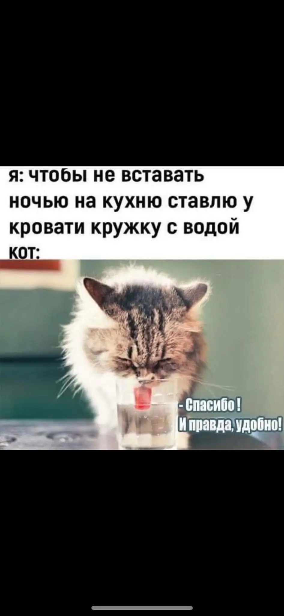 FB_IMG_1709729311642.webp