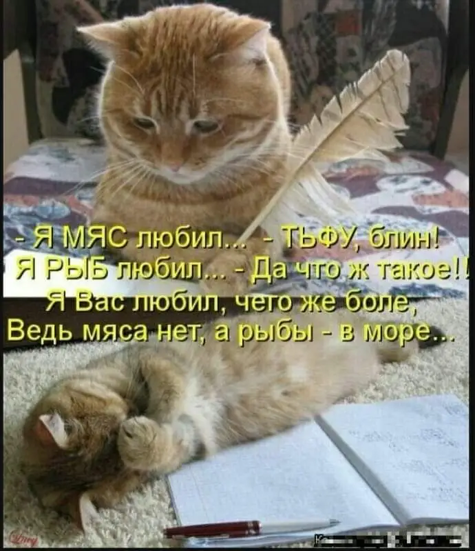 FB_IMG_1709754498500.webp