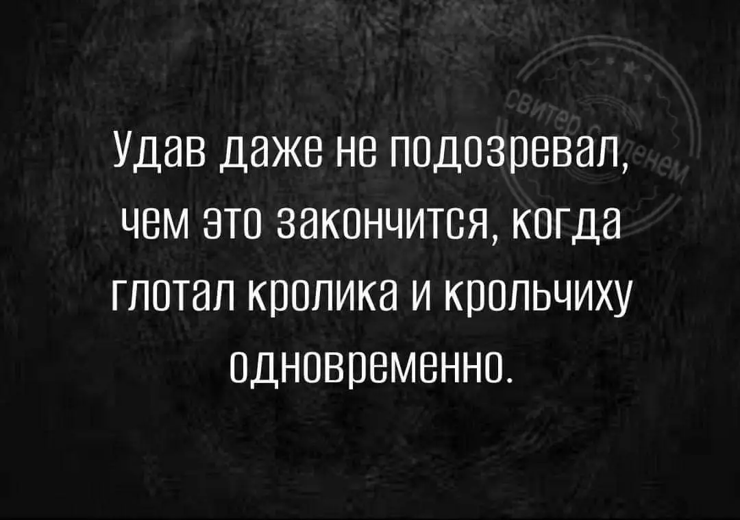 FB_IMG_1710009502459.webp