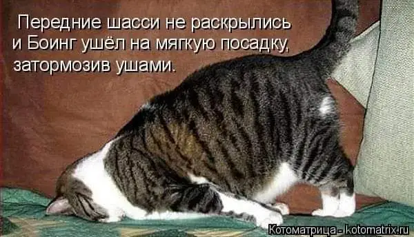 FB_IMG_1710618637686.webp