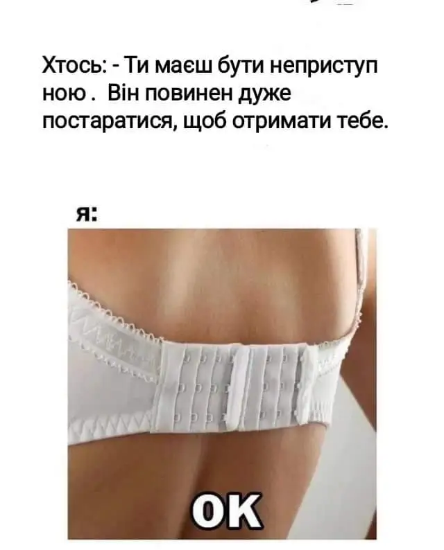 FB_IMG_1710620724187.webp