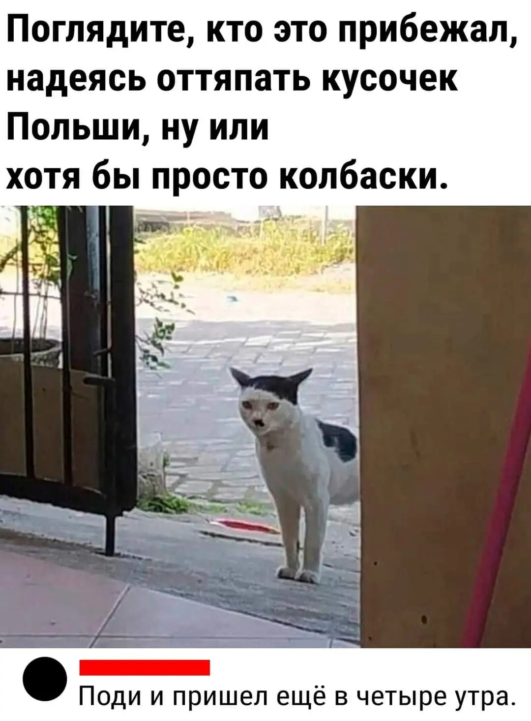FB_IMG_1710675939592.webp