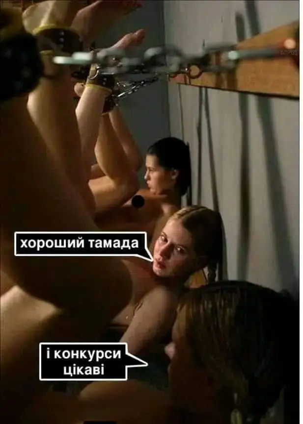 FB_IMG_1710693926347.webp