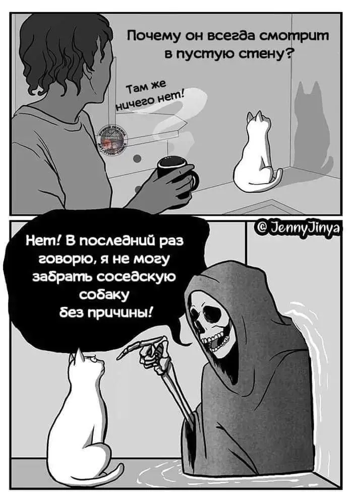 FB_IMG_1710711479593.webp