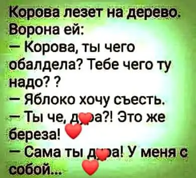 FB_IMG_1710737433831-world71.spcs.bio.webp