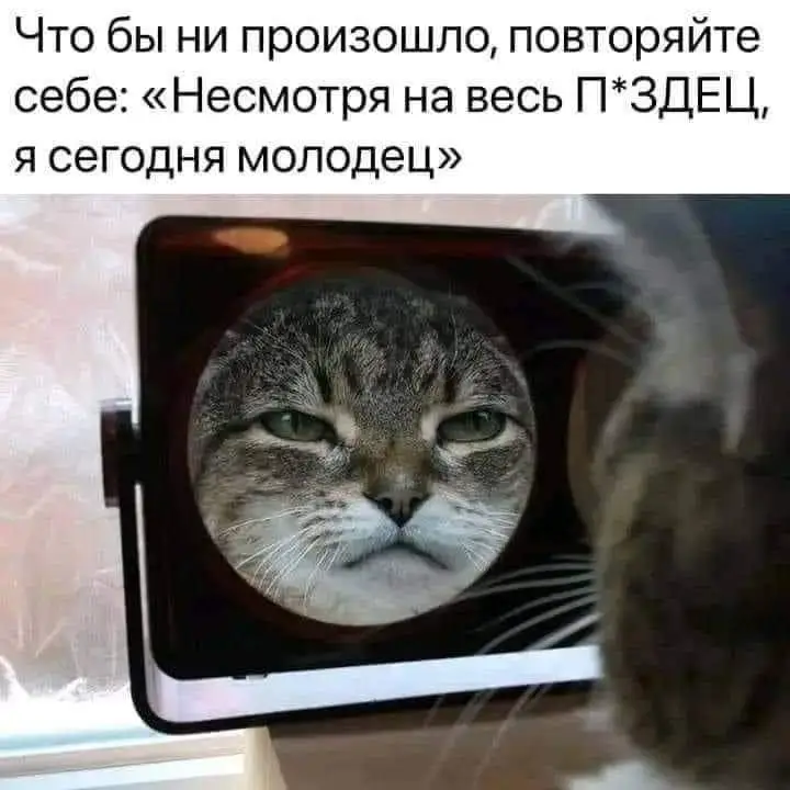 FB_IMG_1711226512467.webp
