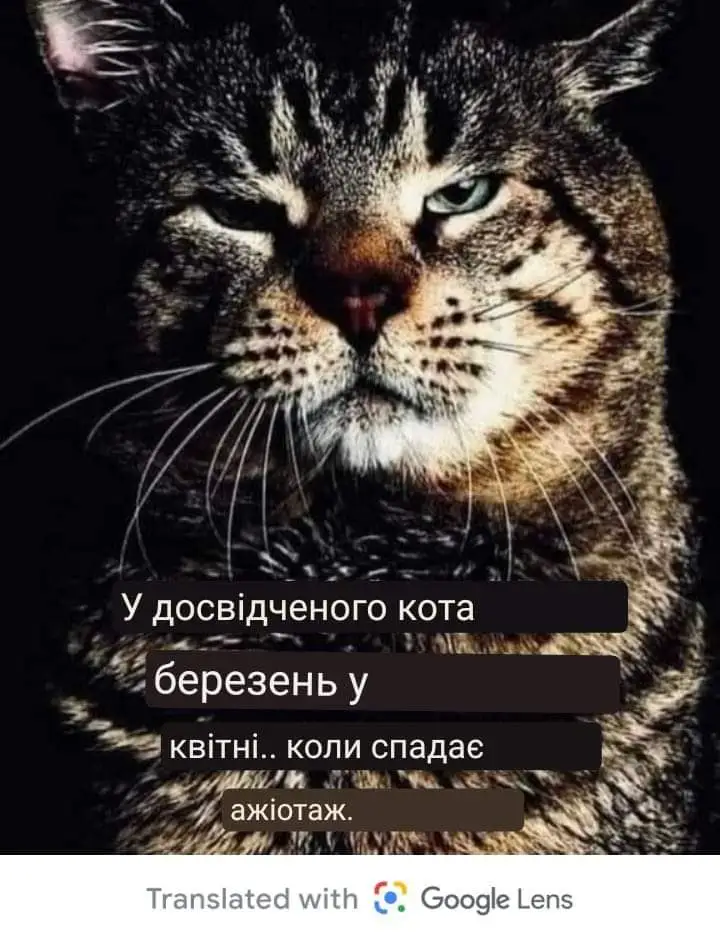 FB_IMG_1711731112567.webp