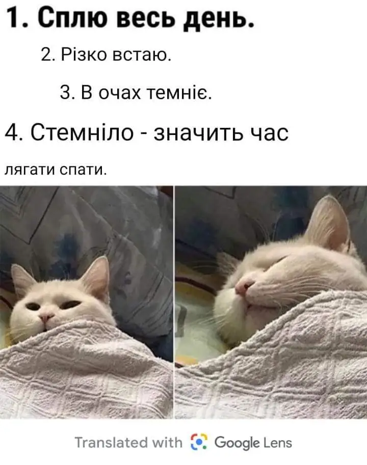 FB_IMG_1711738184293.webp