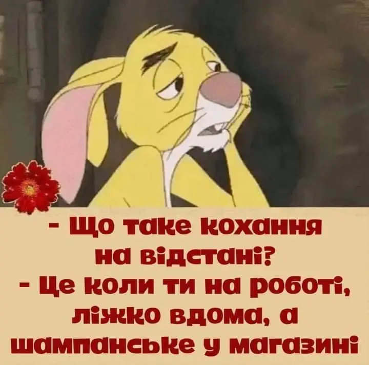 FB_IMG_1712299453595.webp