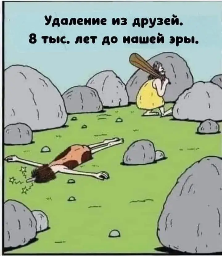 FB_IMG_1712781051189.webp