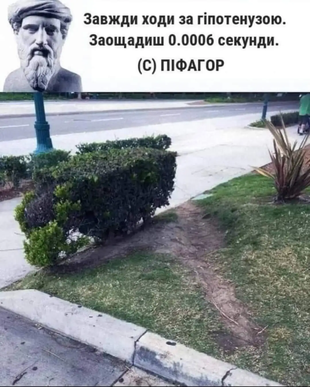 FB_IMG_1712854129128.webp
