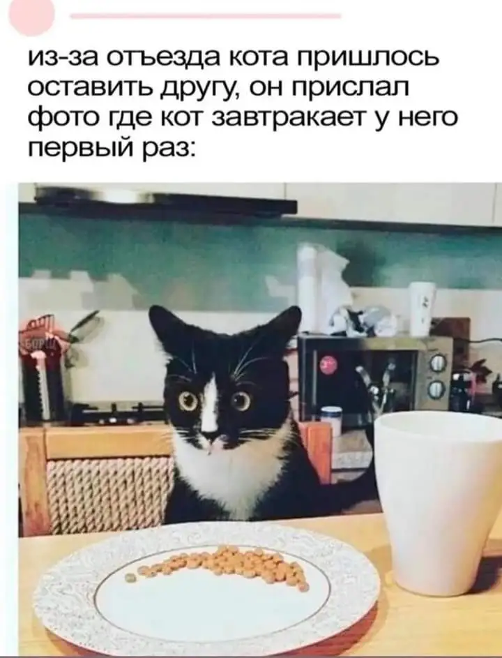 FB_IMG_1713425818858.webp
