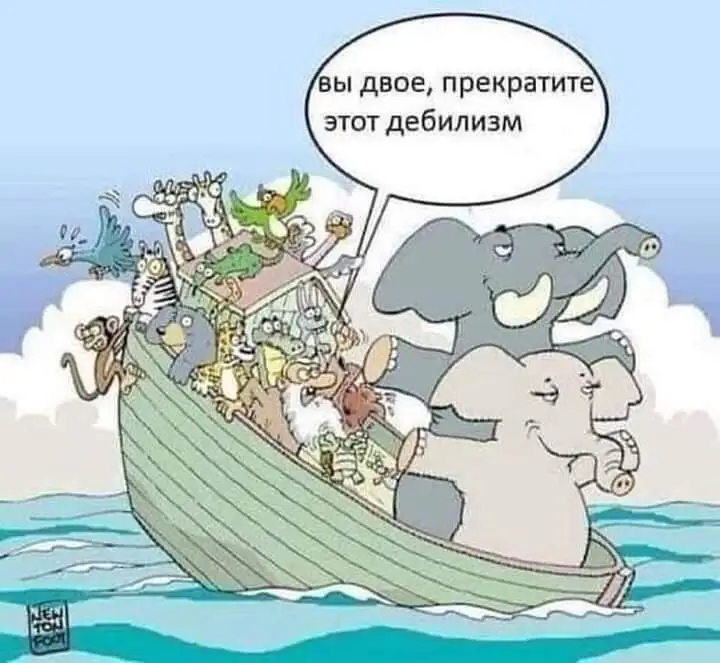 FB_IMG_1713475687443.webp