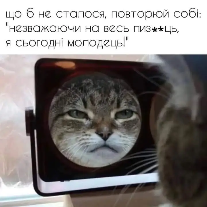 FB_IMG_1713554275739.webp