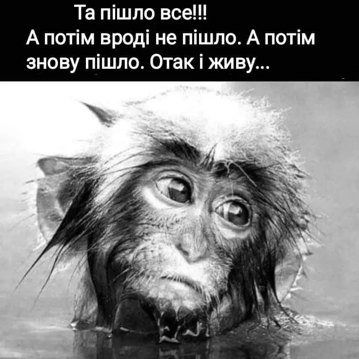 FB_IMG_1713554788349.webp