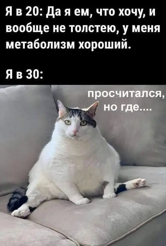 FB_IMG_1713621088935.webp