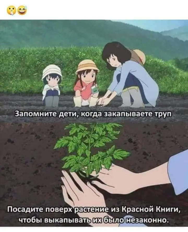 FB_IMG_1713794326119.webp