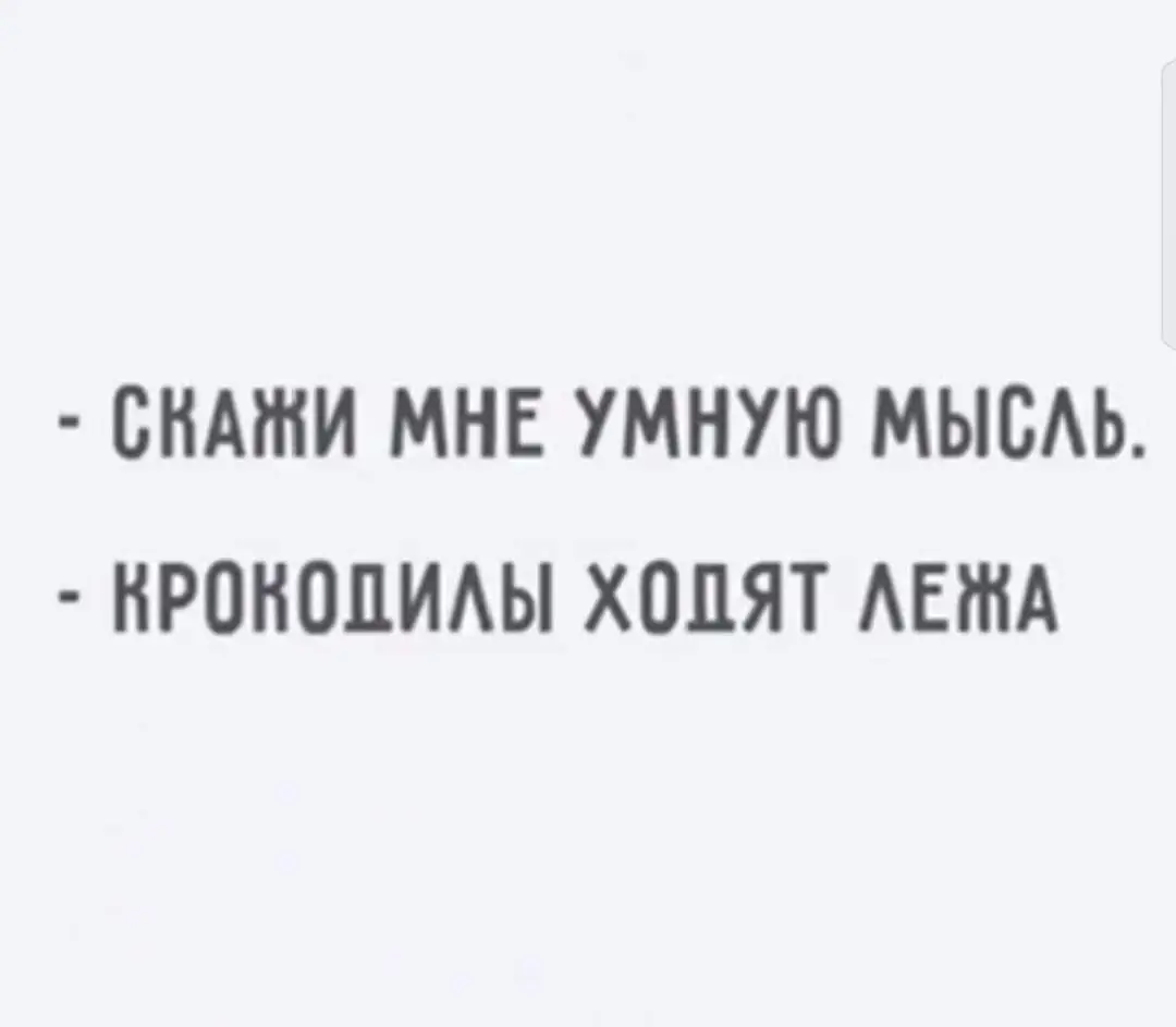 FB_IMG_1713844510611.webp