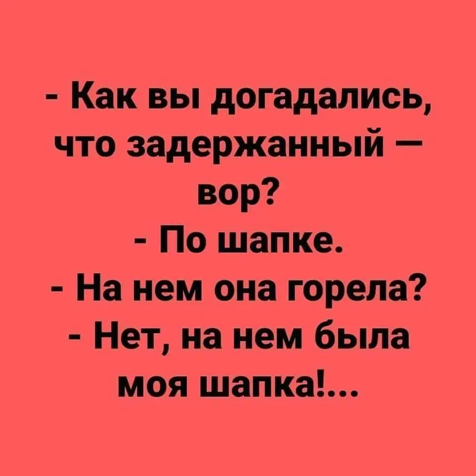 FB_IMG_1713888997444.webp