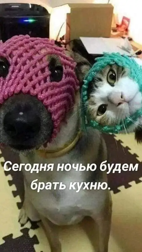 FB_IMG_1713900288183.webp