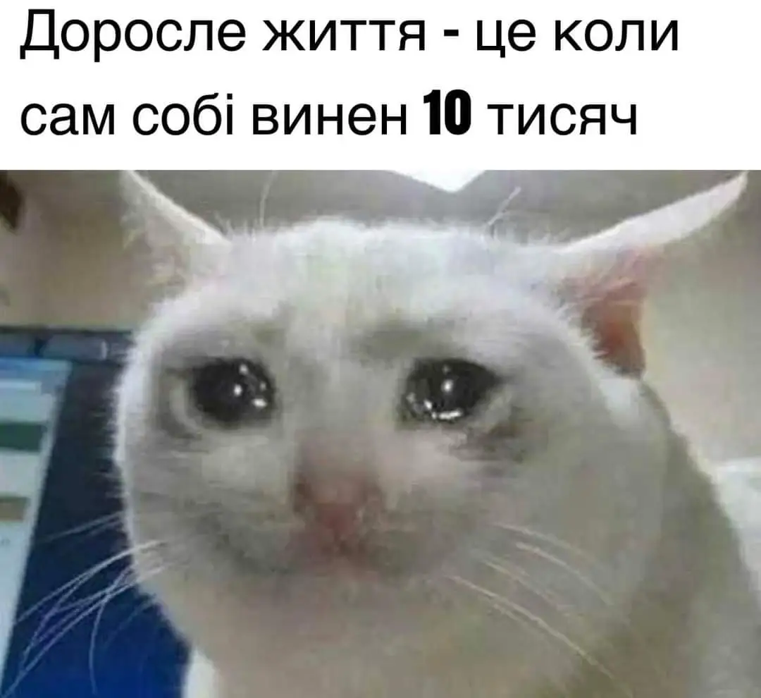 FB_IMG_1713987998319.webp