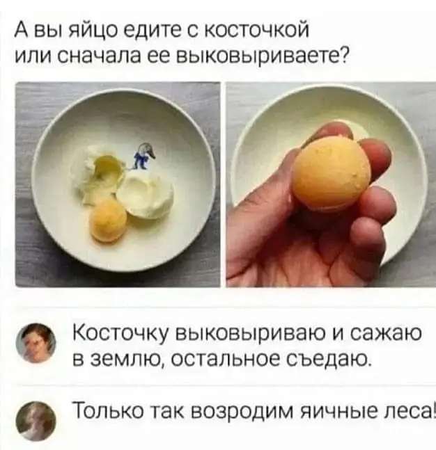 FB_IMG_1714032025215.webp