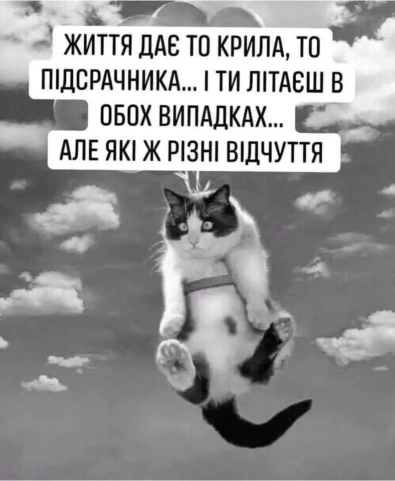 FB_IMG_1714155122478.webp