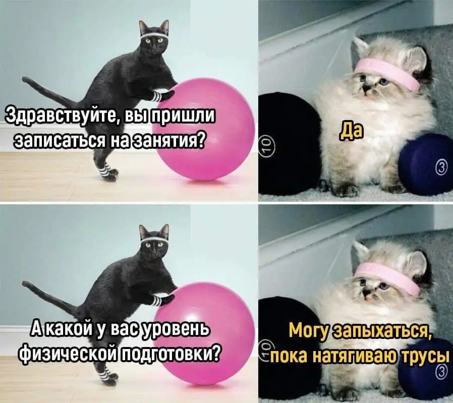 FB_IMG_1714155492757.webp