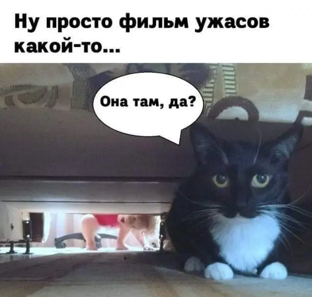 FB_IMG_1714165738839.webp