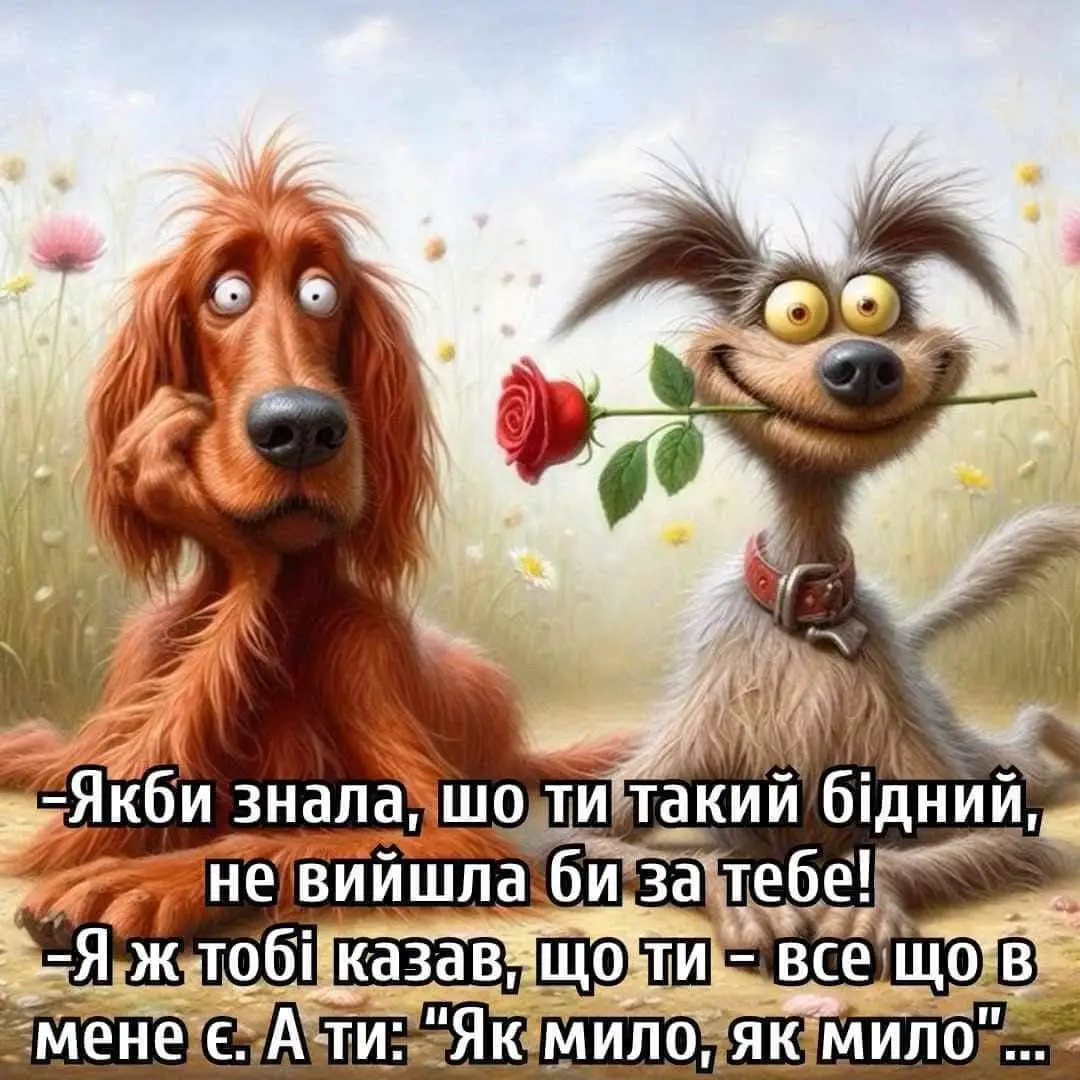FB_IMG_1714165765879.webp