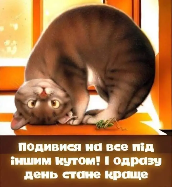 FB_IMG_1714219376311.webp