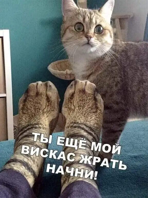 FB_IMG_1714225601145.webp